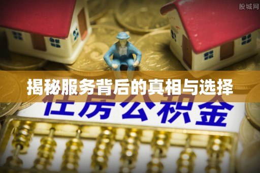 临渭揭秘服务背后的真相与选择