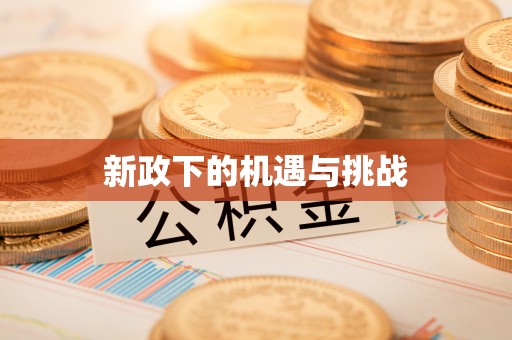 临渭新政下的机遇与挑战