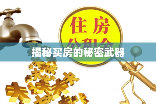 临渭揭秘买房的秘密武器
