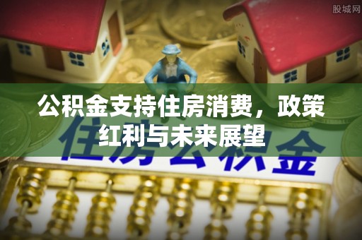 临渭公积金支持住房消费，政策红利与未来展望