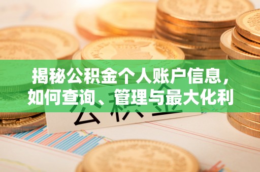 临渭揭秘公积金个人账户信息，如何查询、管理与最大化利用