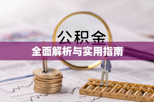 临渭全面解析与实用指南