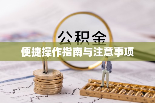 临渭便捷操作指南与注意事项